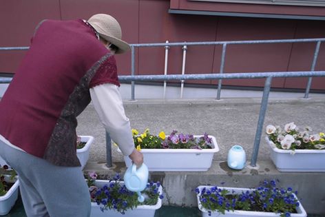 水をあげる人間の心は花に伝わる！！