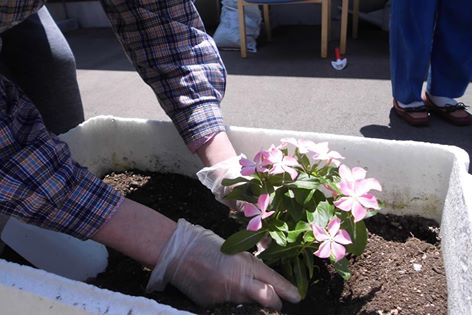 花⇒花束⇒花畑⇒花園　(^^)v