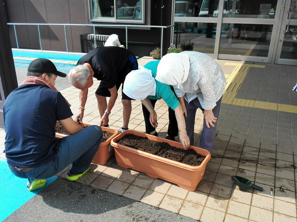 「ヒマワリの種をまきました」